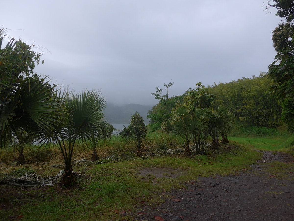 (211'391) - Blick am 16. November 2019 in Richtung Viejo Arenal