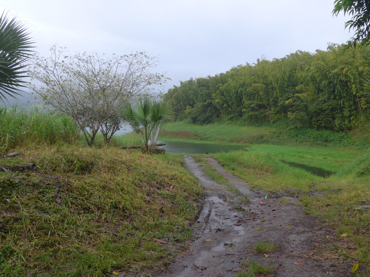 (211'392) - Strasse am 16. November 2019 nach Viejo Arenal