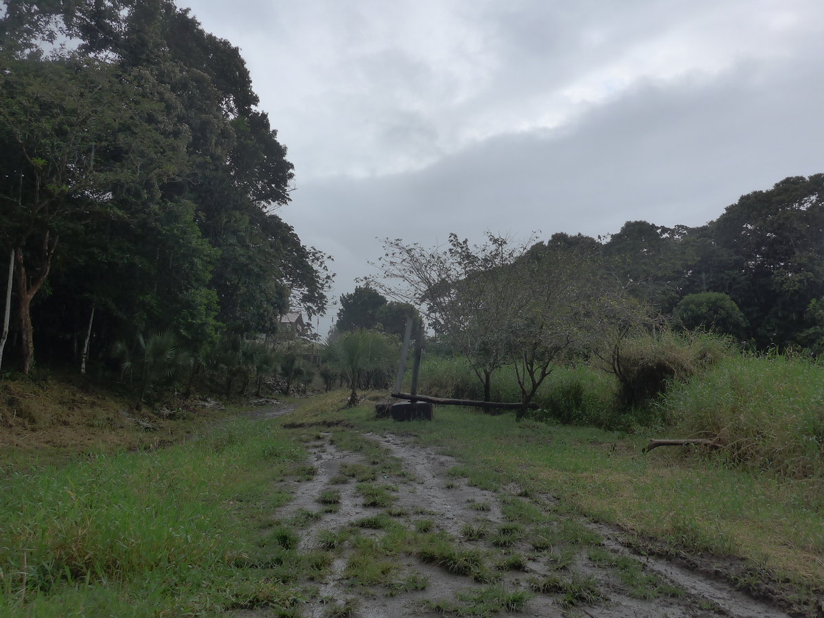 (211'395) - Alte Strasse am 16. November 2019 in Viejo Arenal