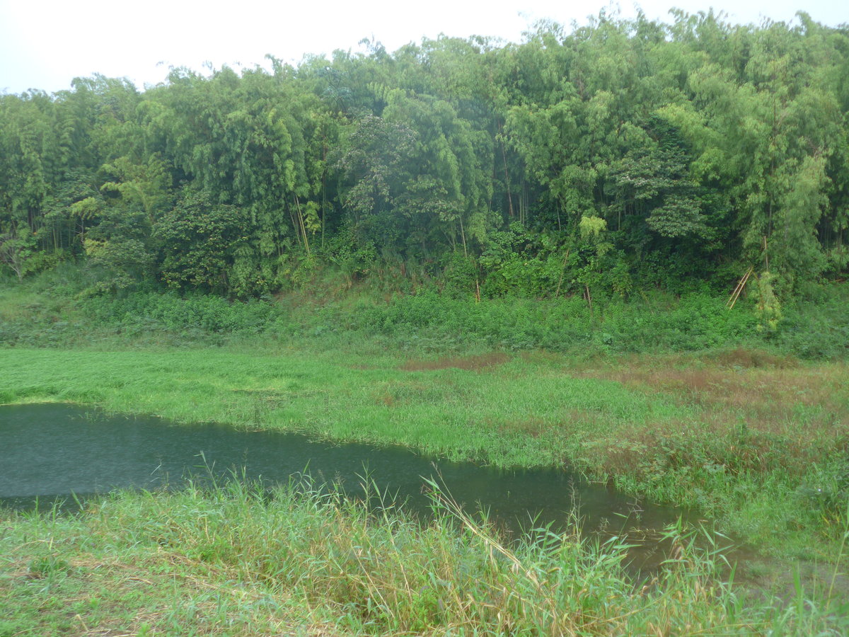 (211'396) - Zipfel vom Arenalsee am 16. November 2019 in Viejo Arenal