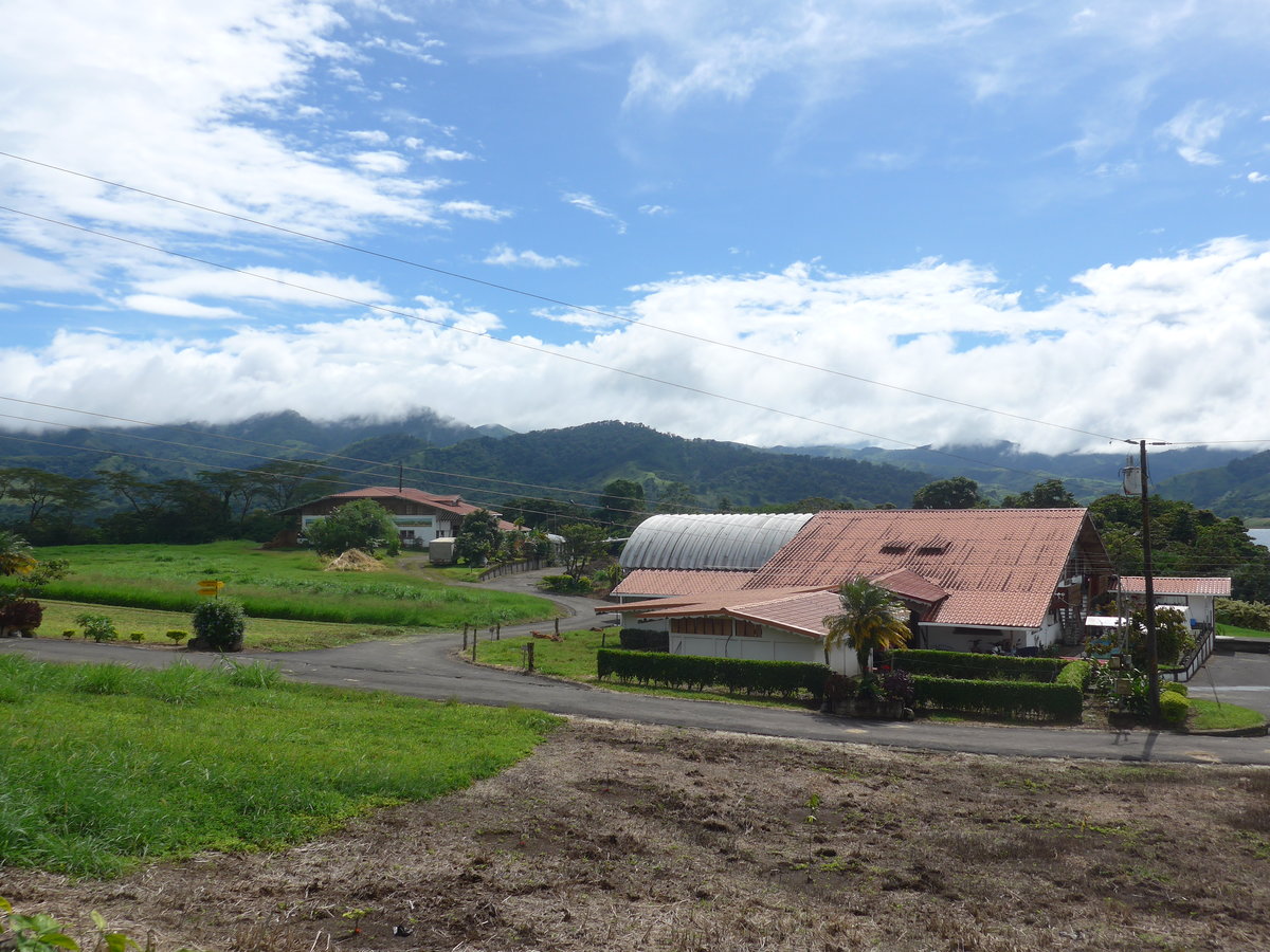 (211'452) - Bauernhof am 16. November 2019 in Nuevo Arenal, Los H�roes