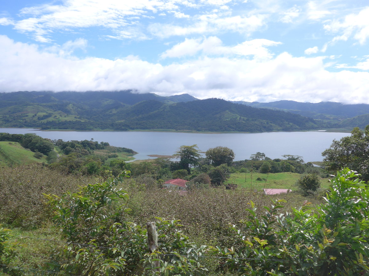 (211'458) - Ausblick auf den Arenalsee am 16. November 2019 in Nuevo Arenal, Los H�roes