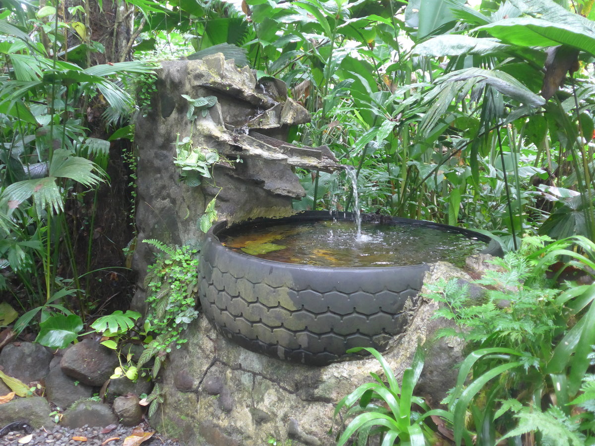 (211'506) - Brunnen im Danaus am 17. November 2019 bei La Fortuna