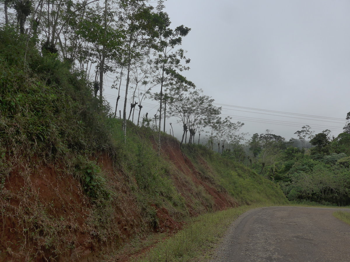 (211'560) - Holperige Strasse am 17. November 2019 bei Cabanga