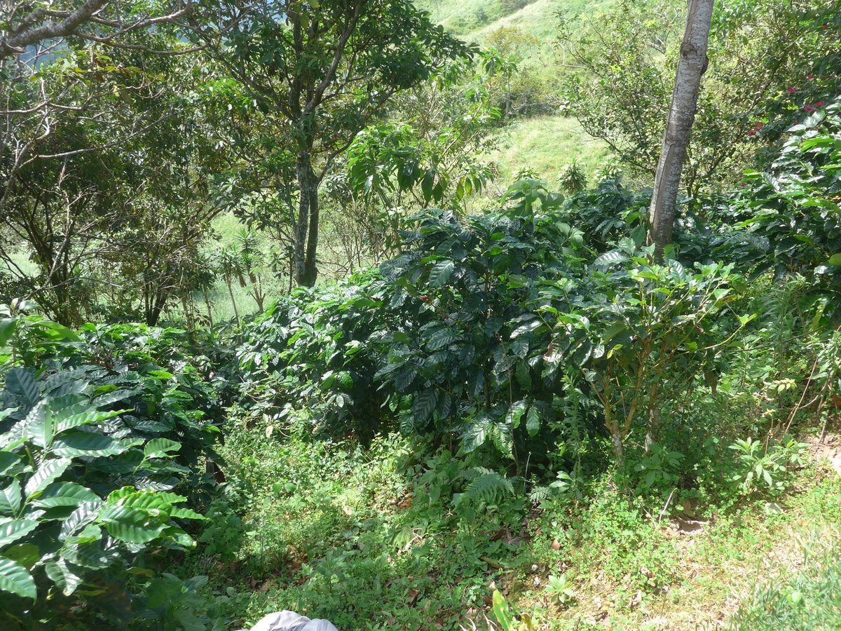 (211'567) - Natur am 18. November 2019 in Rio J�sus