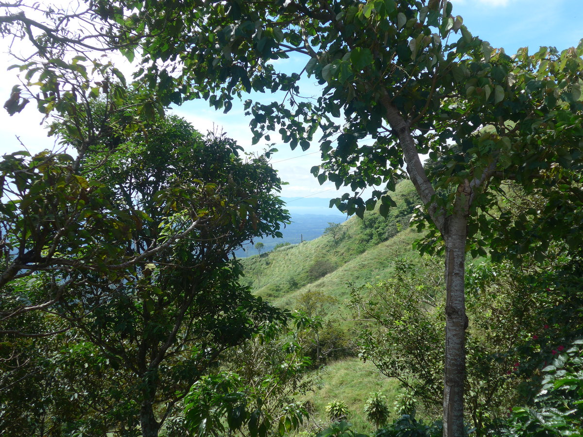 (211'568) - Natur am 18. November 2019 in Rio J�sus