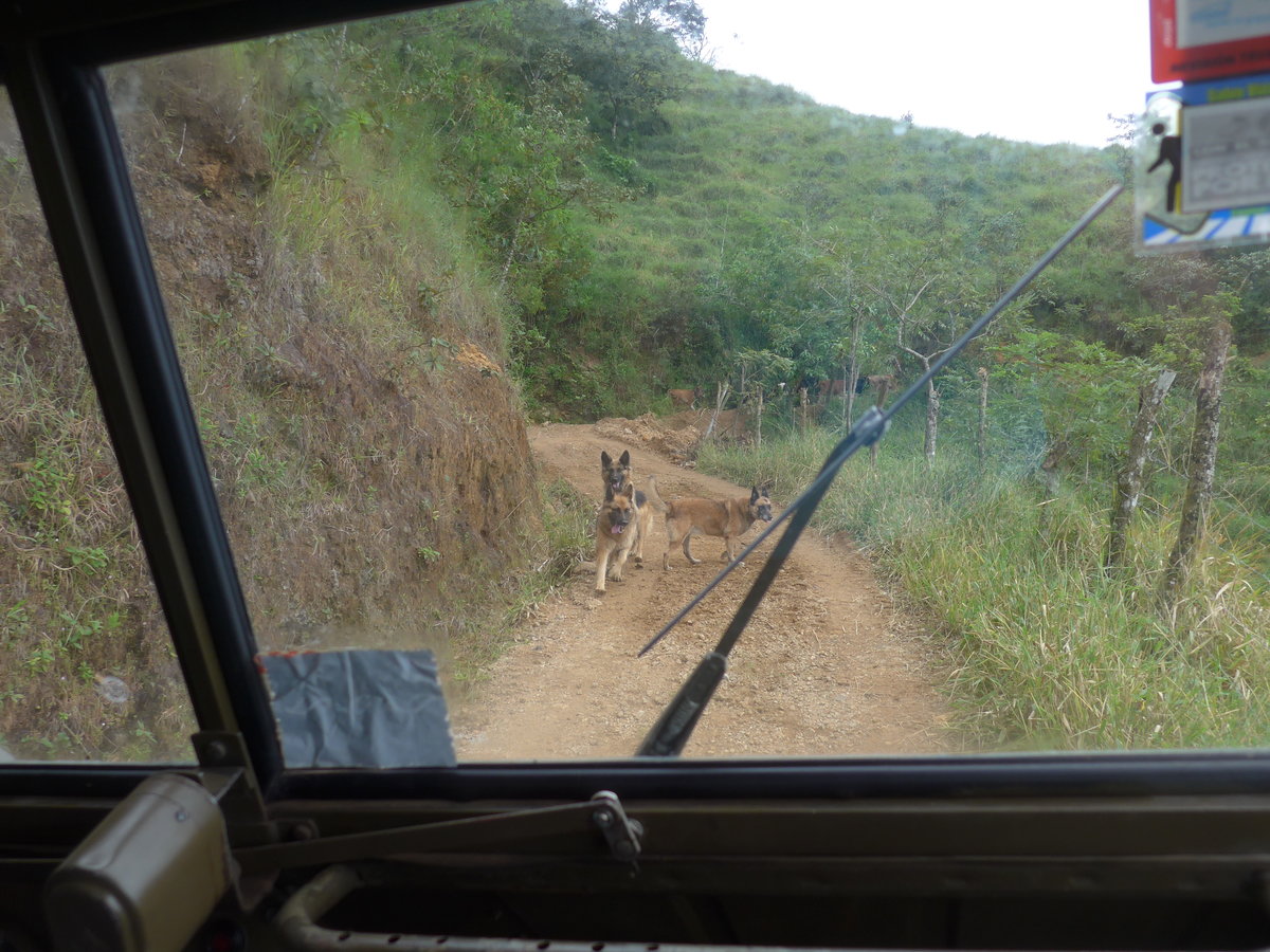 (211'591) - Fahrt im Haflinger am 18. November 2019 in Rio J�sus