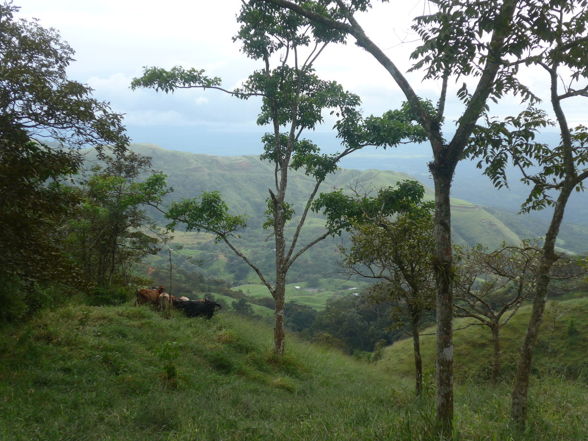(211'595) - Ausblick ins Tal am 18. November 2019 von Rio J�sus aus