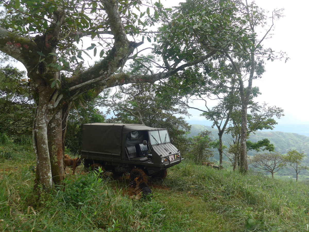 (211'599) - Steyr-Puch - CL 290'139 - am 18. November 2019 in Rio J�sus