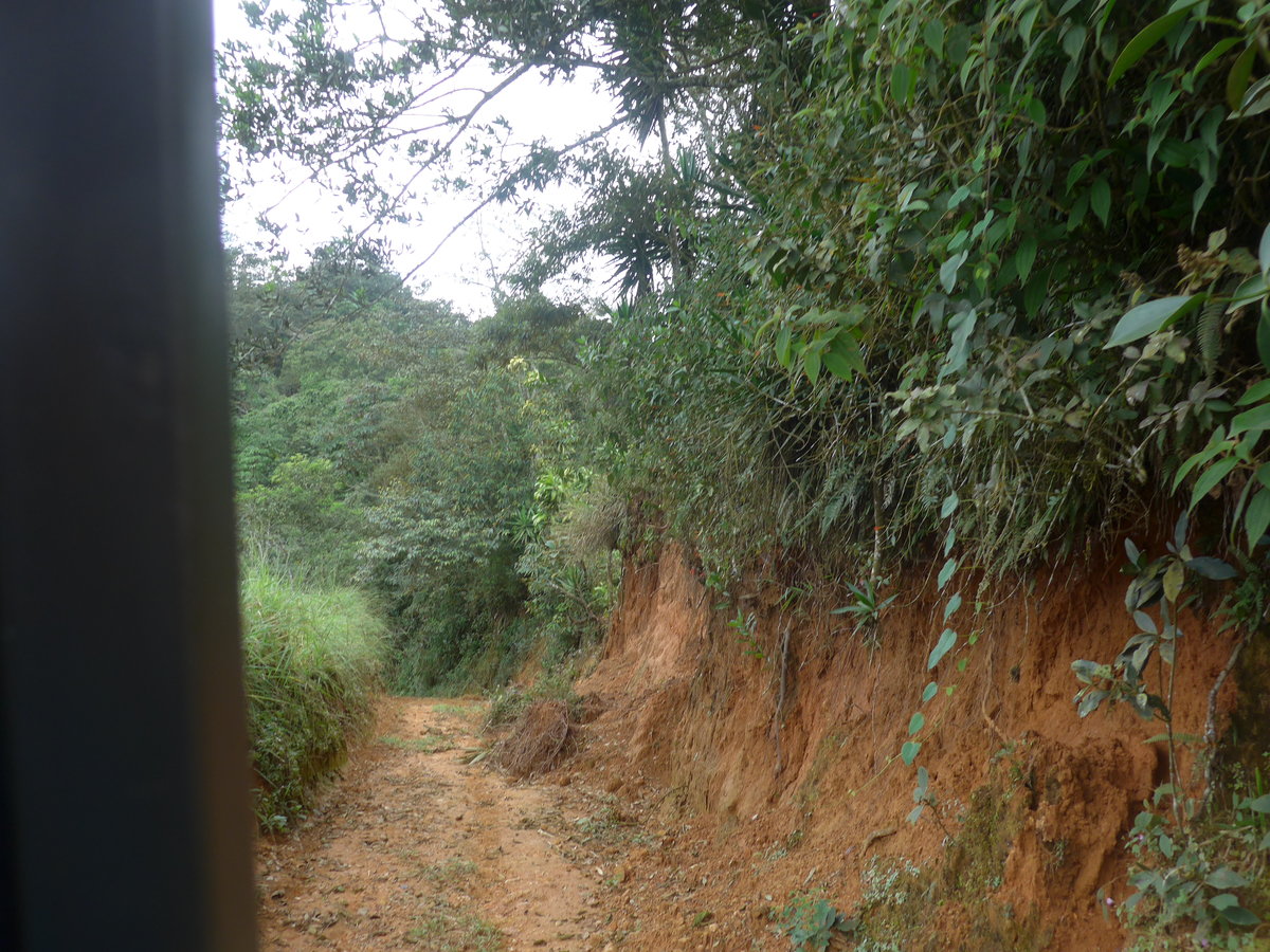 (211'609) - Fahrt im Haflinger am 18. November 2019 in Rio J�sus