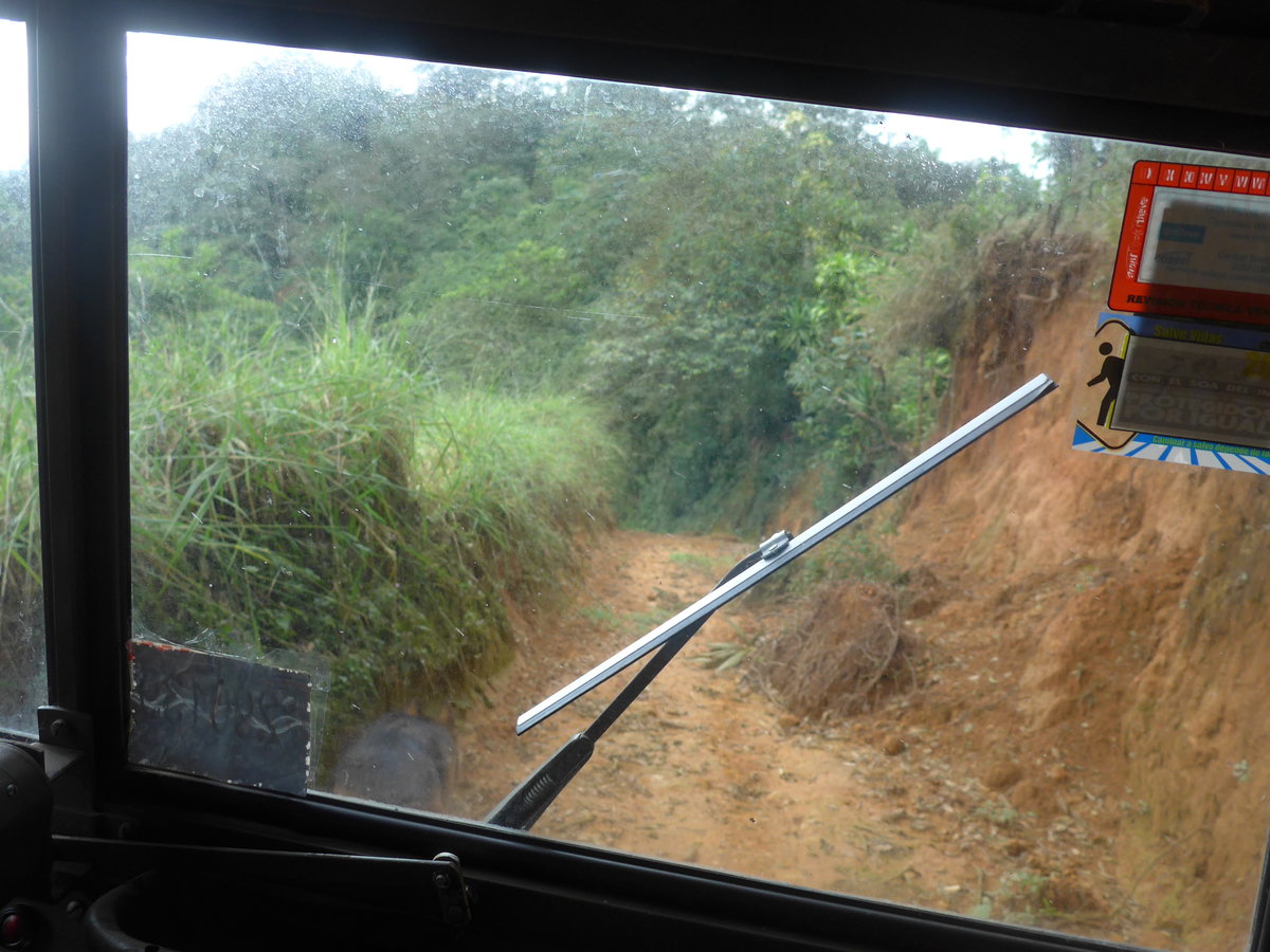 (211'610) - Fahrt im Haflinger am 18. November 2019 in Rio J�sus