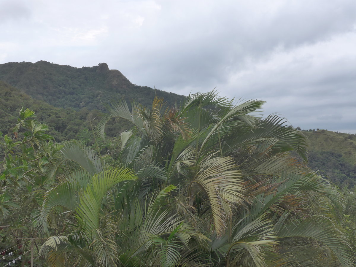 (211'625) - Blick zum Aussichtspunkt am 18. November 2019 bei Rio J�sus