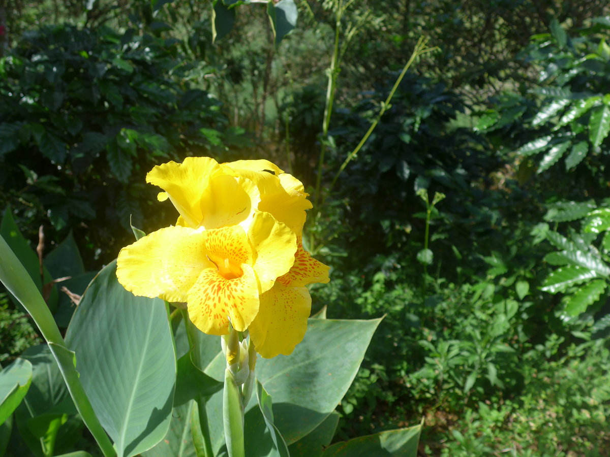 (211'630) - Natur am 19. November 2019 in Rio J�sus