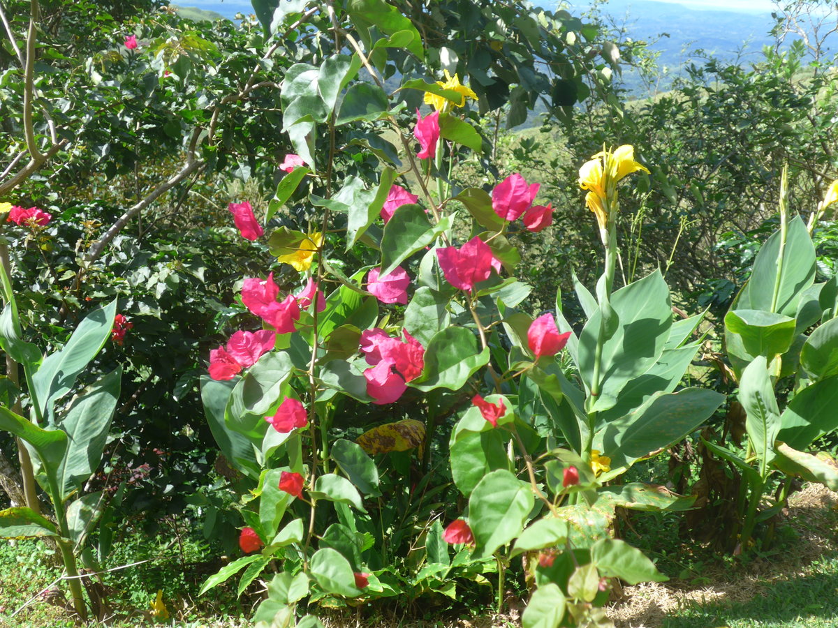 (211'631) - Natur am 19. November 2019 in Rio J�sus