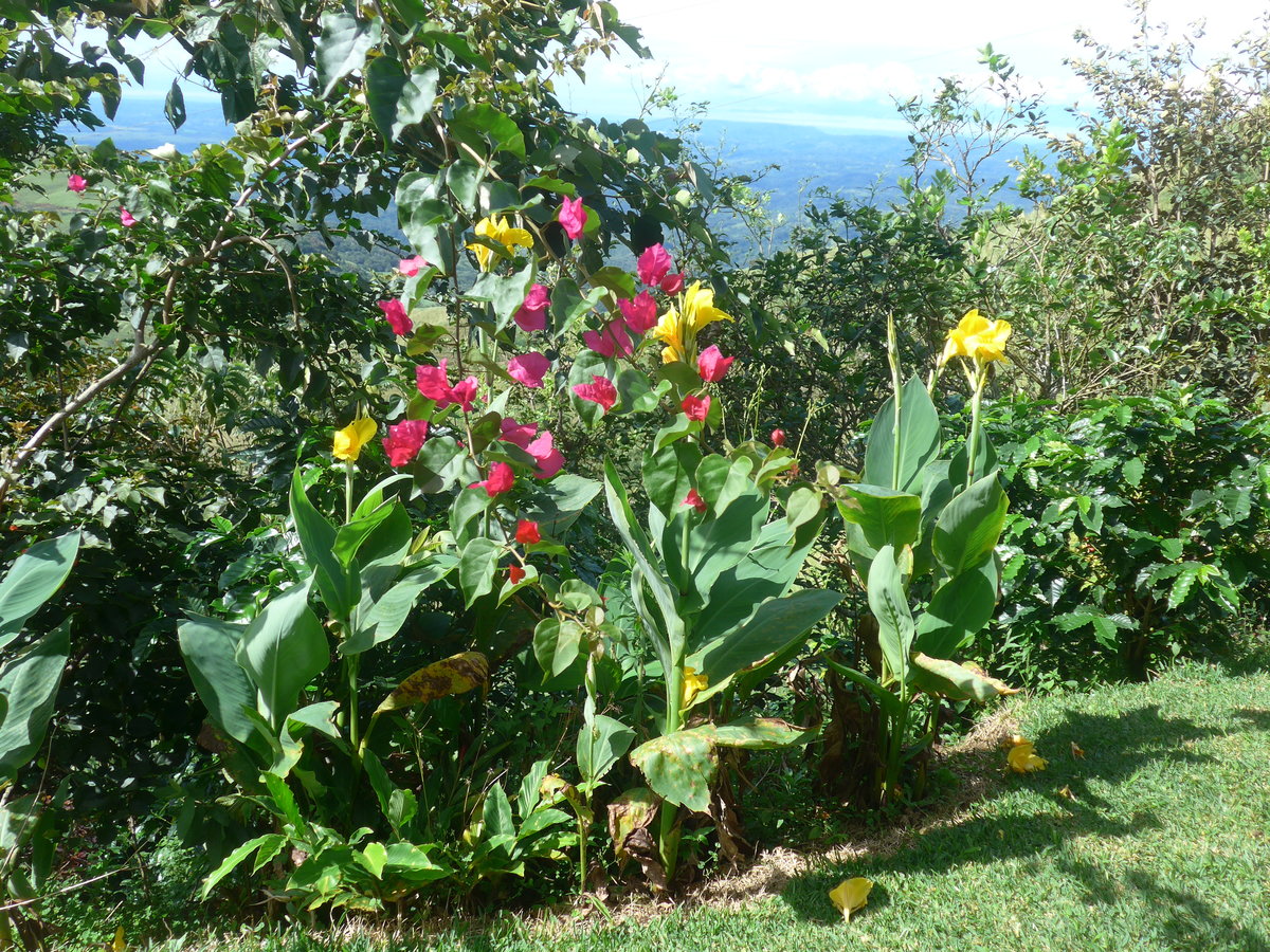 (211'632) - Natur am 19. November 2019 in Rio J�sus