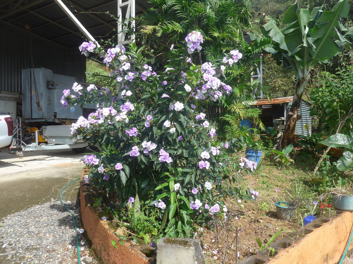 (211'641) - Natur am 19. November 2019 in Rio J�sus