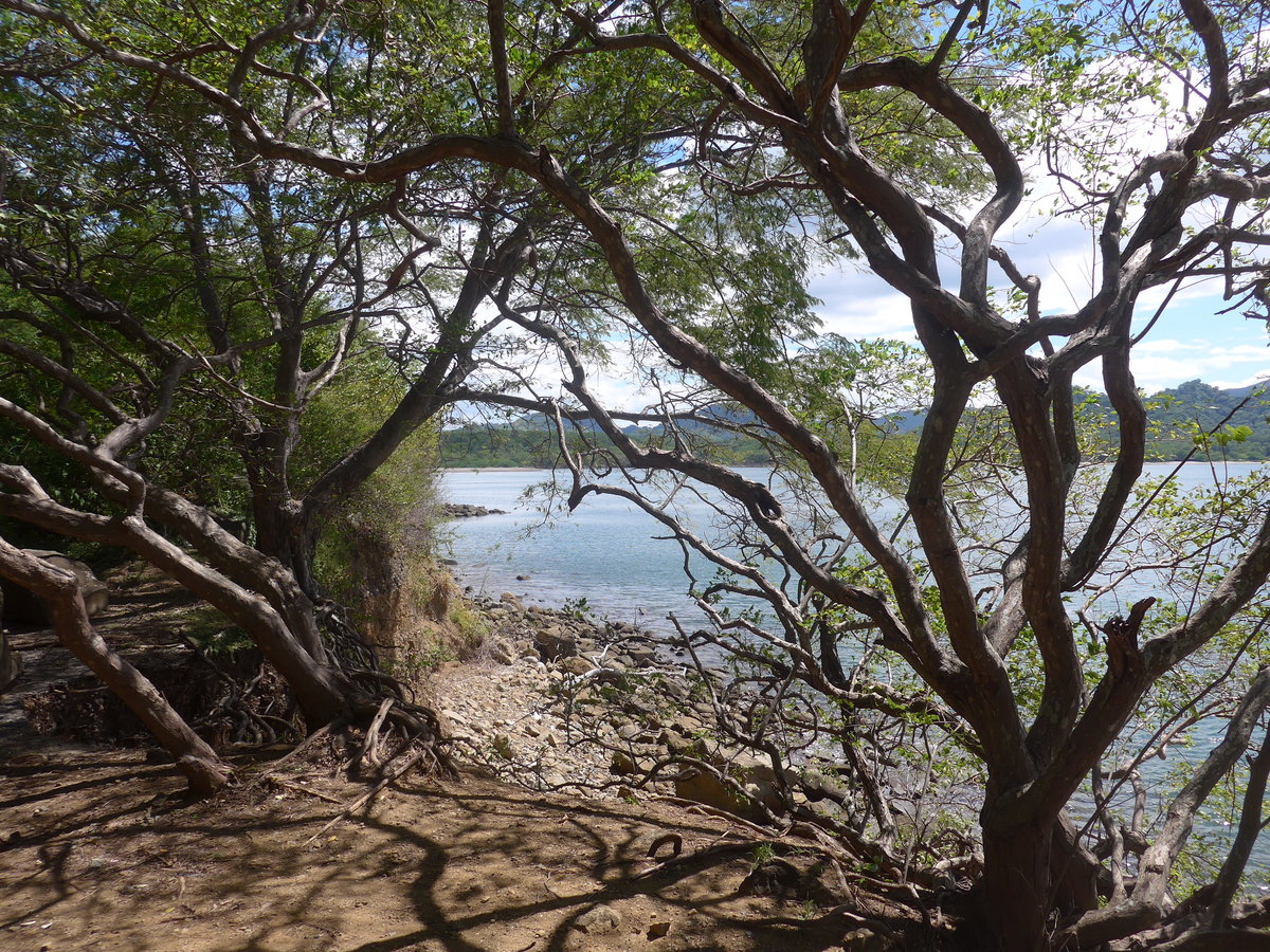 (211'869) - Am Golf von Cuajiniquil am 21. November 2019 bei Cuajiniquil