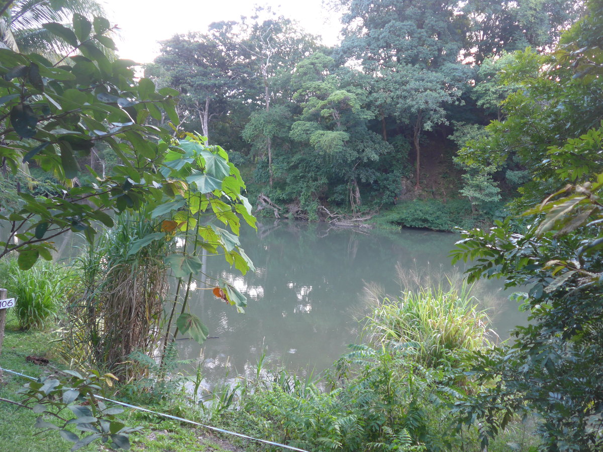 (211'911) - Am Rio Sapoa am 21. November 2019 in La Cruz, Ca�as Castilla