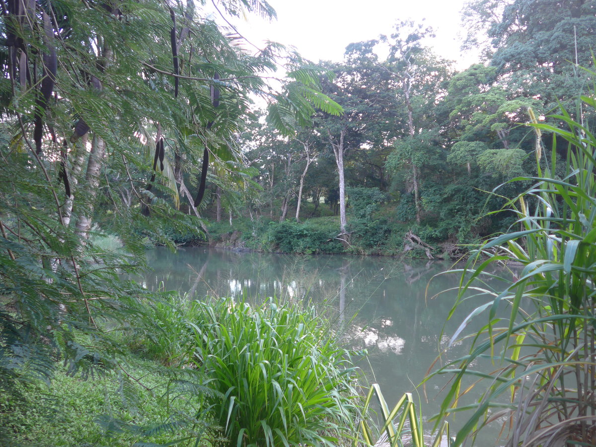 (211'912) - Am Rio Sapoa am 21. November 2019 in La Cruz, Ca�as Castilla