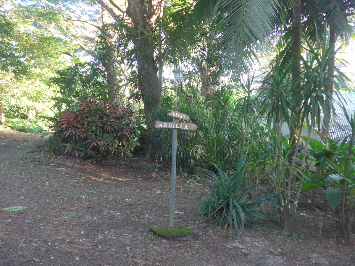 (211'916) - Wegweiser zu den Bungalows am 21. November 2019 in La Cruz, Ca�as Castilla