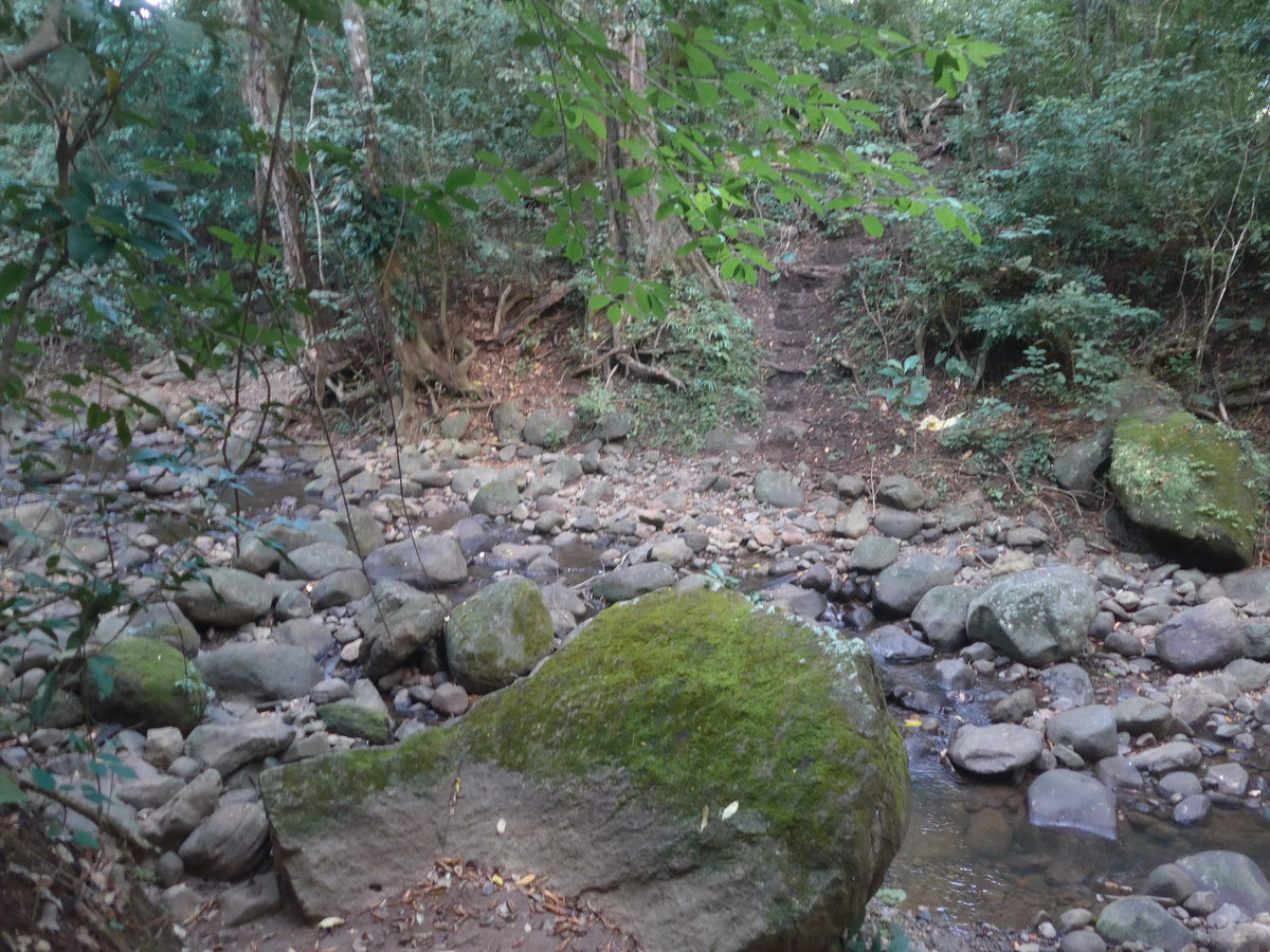 (211'924) - Bachbett am 21. November 2019 in La Cruz, Ca�as Castilla