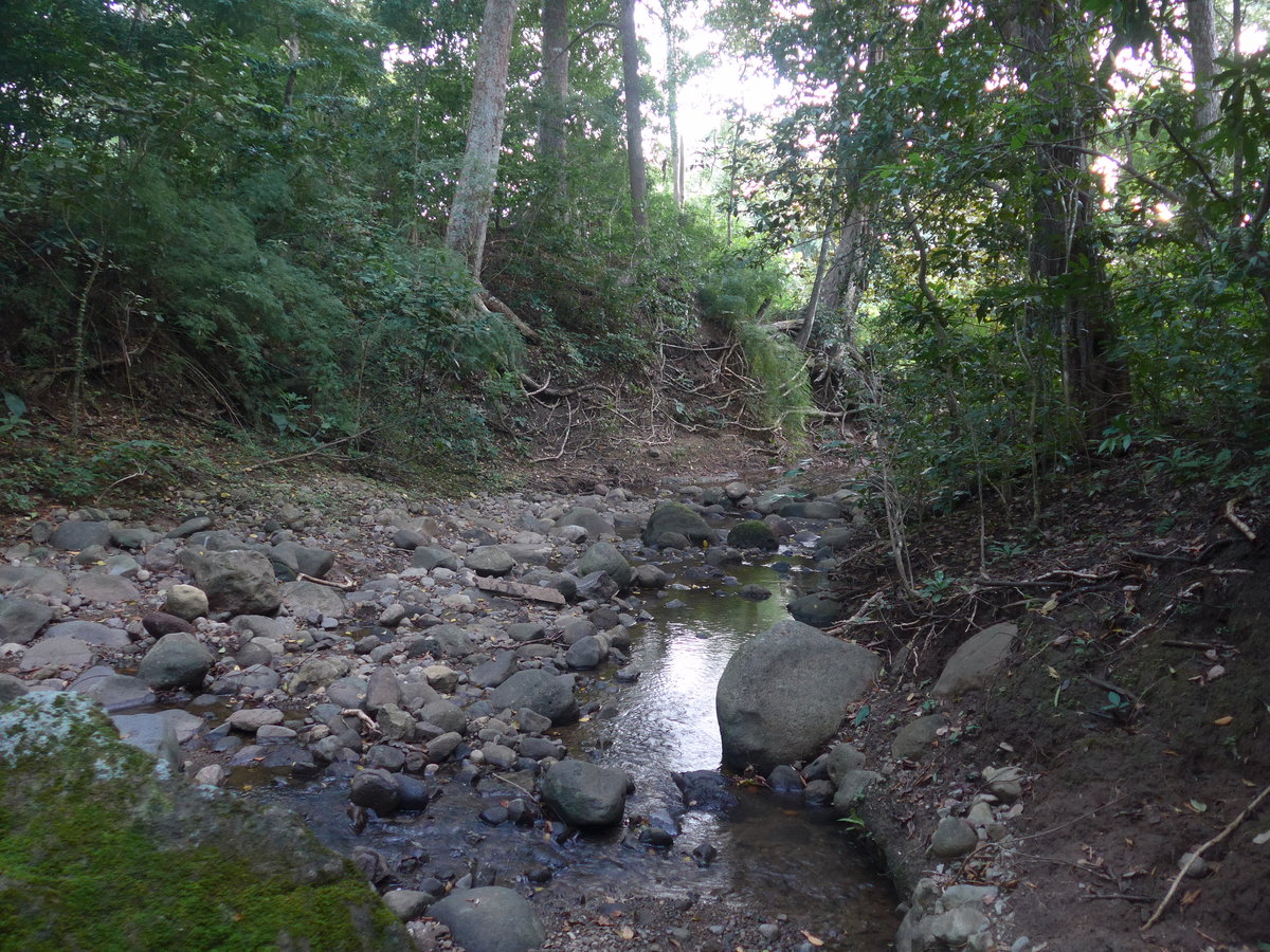 (211'925) - Kleines B�chlein am 21. November 2019 in La Cruz, Ca�as Castilla