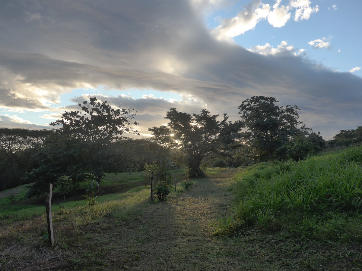 (211'932) - Abendstimmung am 21. November 2019 in La Cruz, Ca�as Castilla