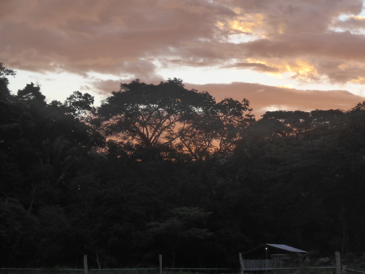 (211'940) - Abendstimmung am 21. November 2019 in La Cruz, Ca�as Castilla