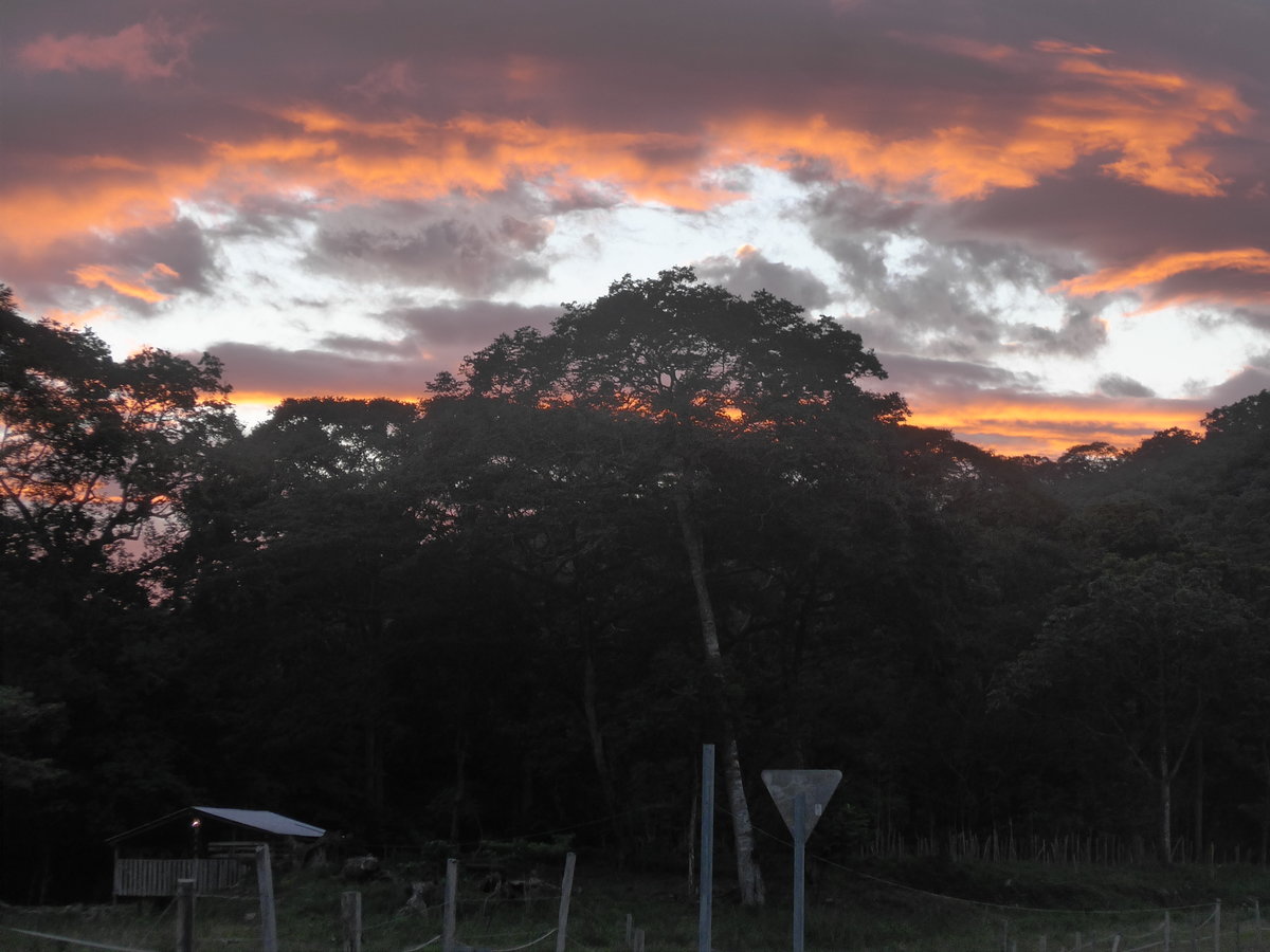 (211'949) - Abendstimmung am 21. November 2019 in La Cruz, Ca�as Castilla