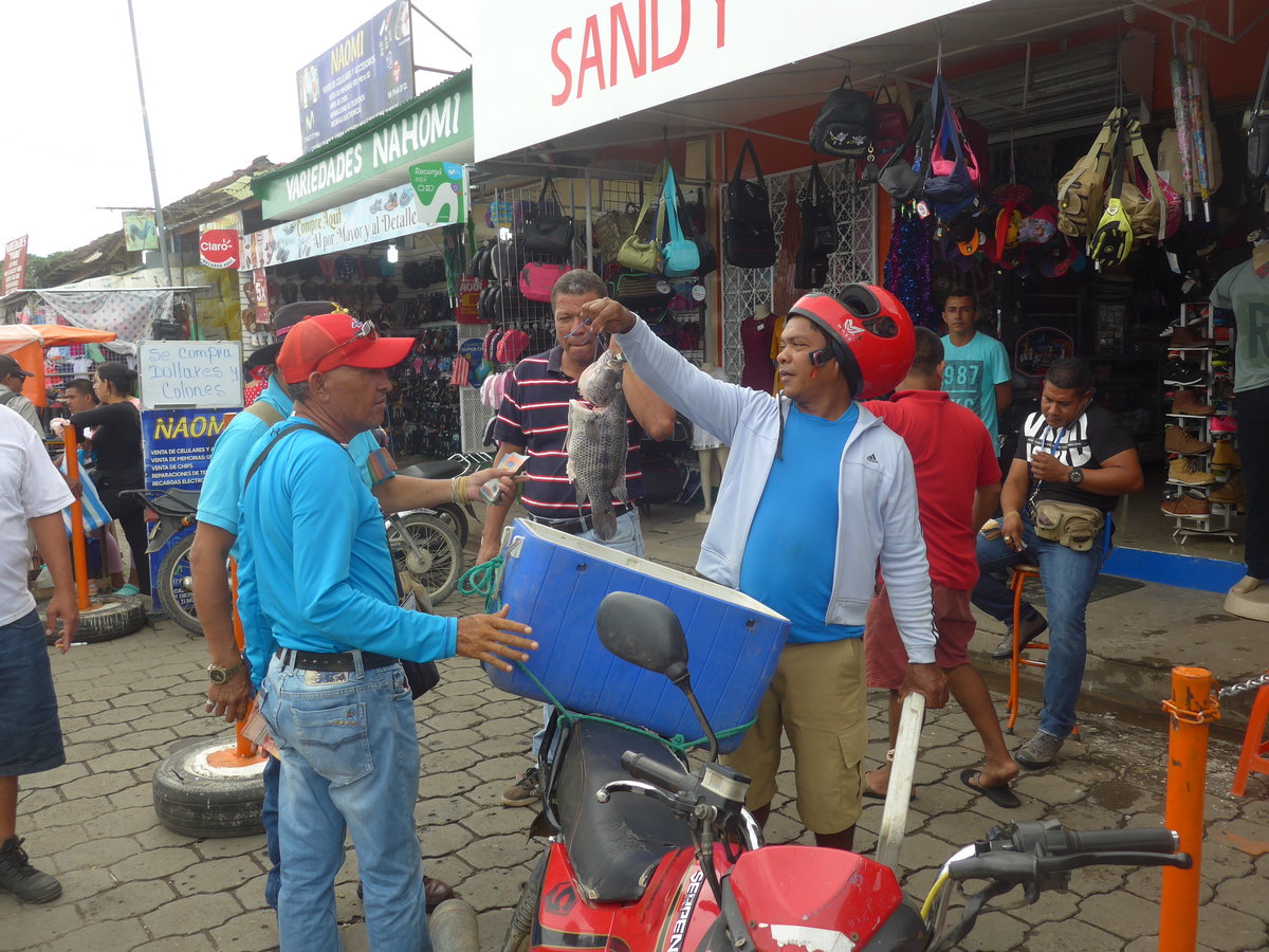 (211'993) - Frischer Fisch am Markt am 22. November 2019 in Rivas