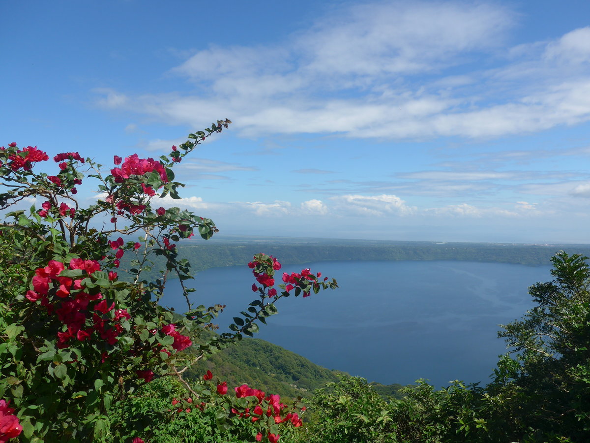 212'037) - Vulkan Kratersee Apoyo mit Blumen am 22. November 2019 bei Catarina