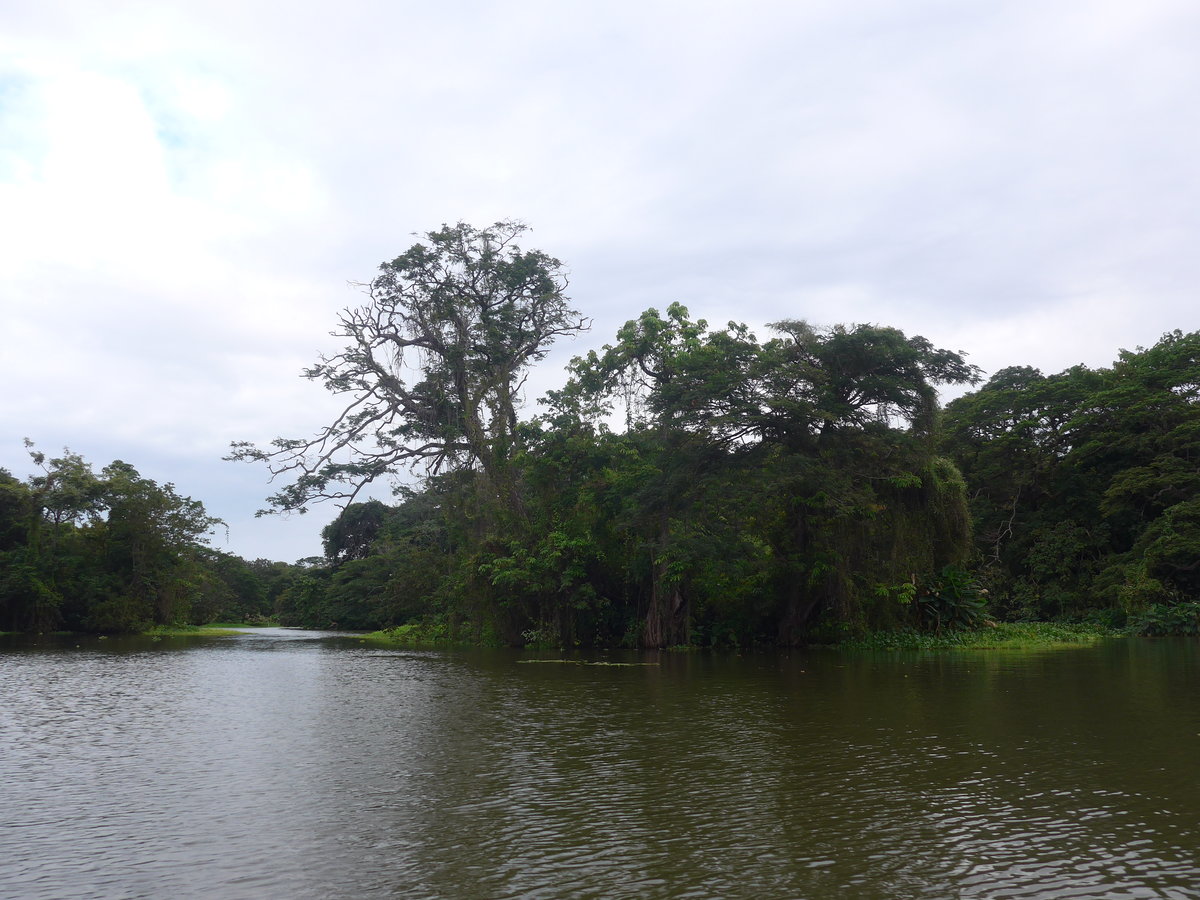 (212'102) - Inselfahrt auf dem Nicaraguasee am 22. November 2019 bei Granada