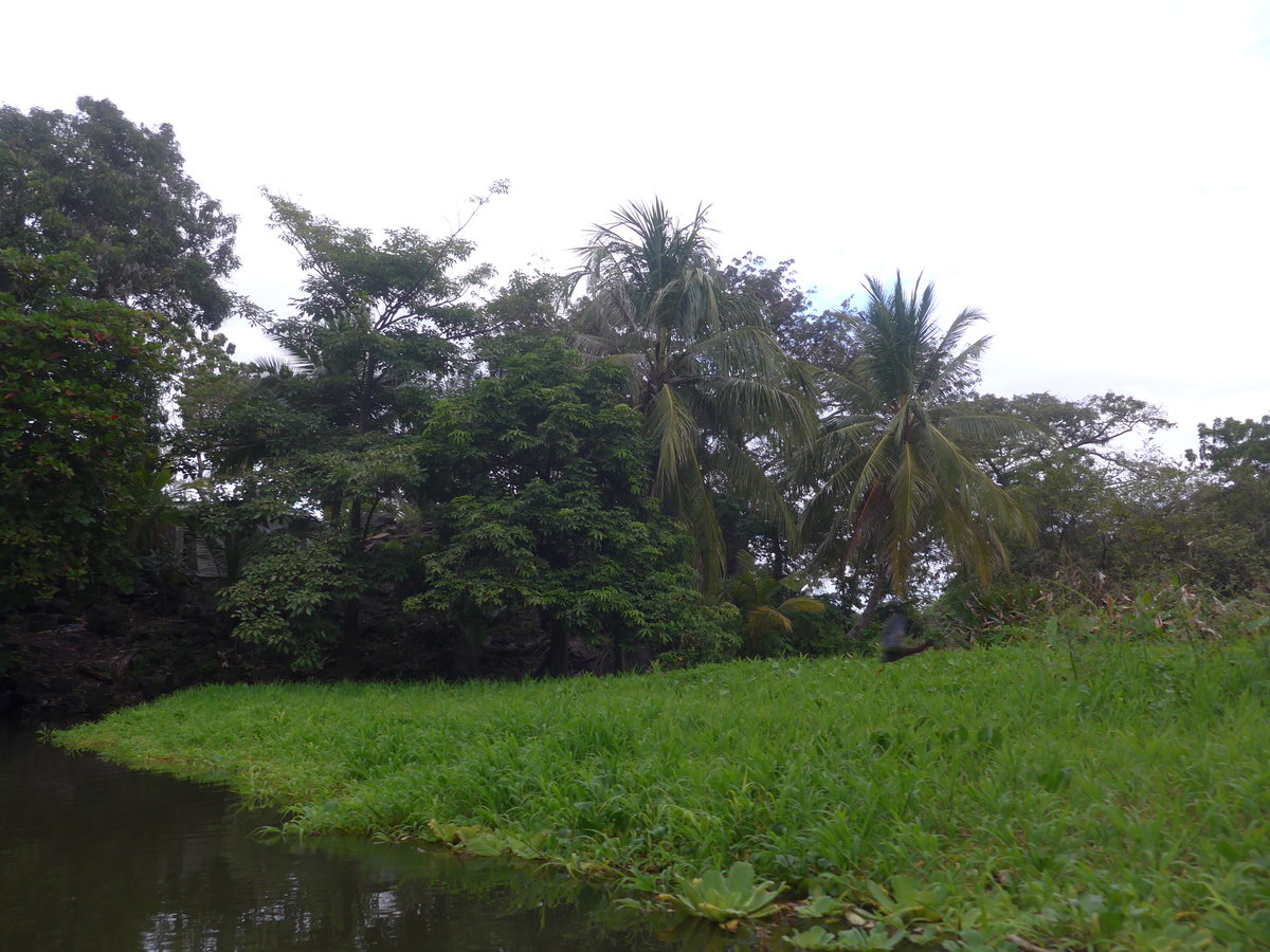 (212'104) - Inselfahrt auf dem Nicaraguasee am 22. November 2019 bei Granada