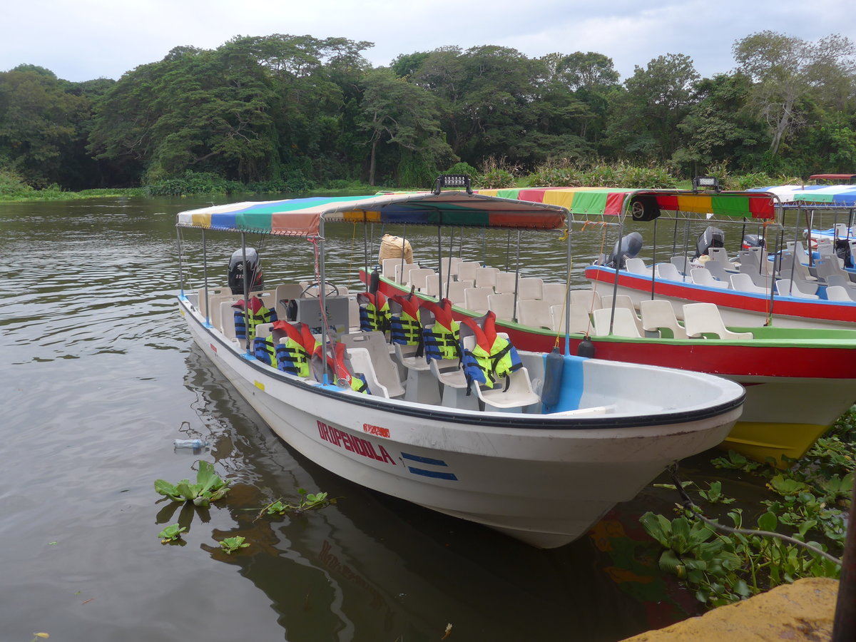 (212'136) - Boot  Dropendola  am 22. November 2019 im Hafen von Granada