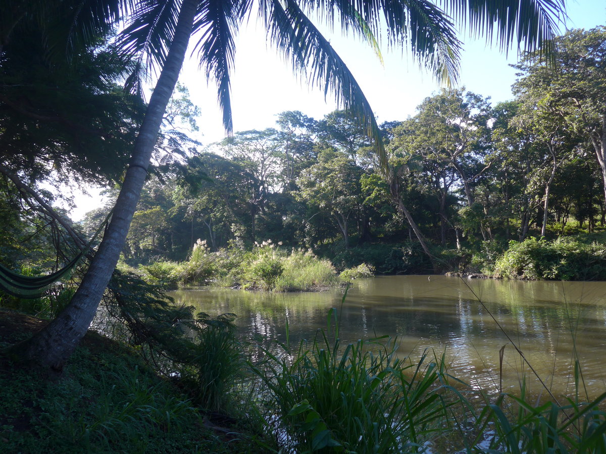 (212'164) - Am Rio Sapoa am 23. November 2019 in La Cruz, Ca�as Castilla