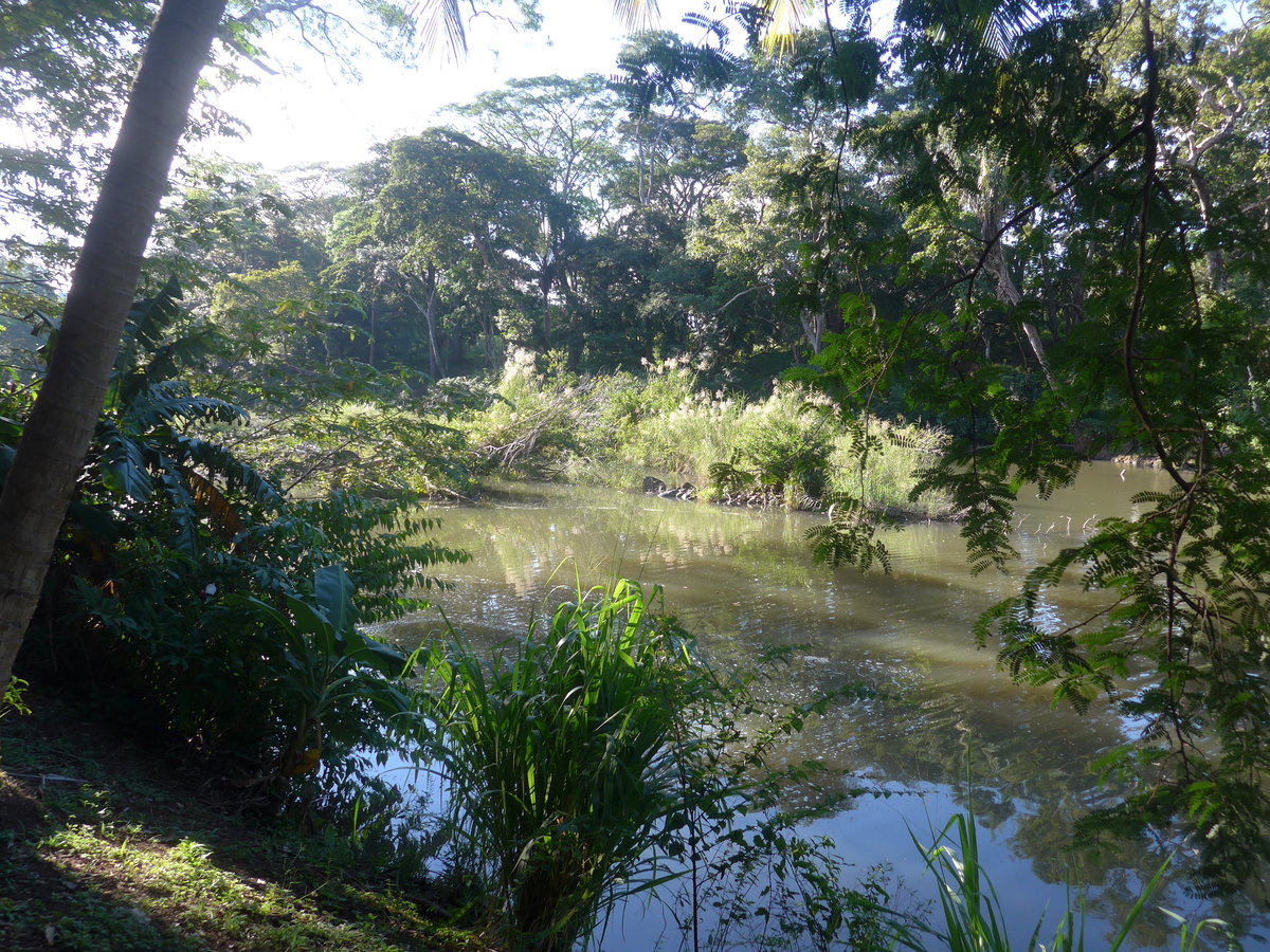 (212'167) - Am Rio Sapoa am 23. November 2019 in La Cruz, Ca�as Castilla