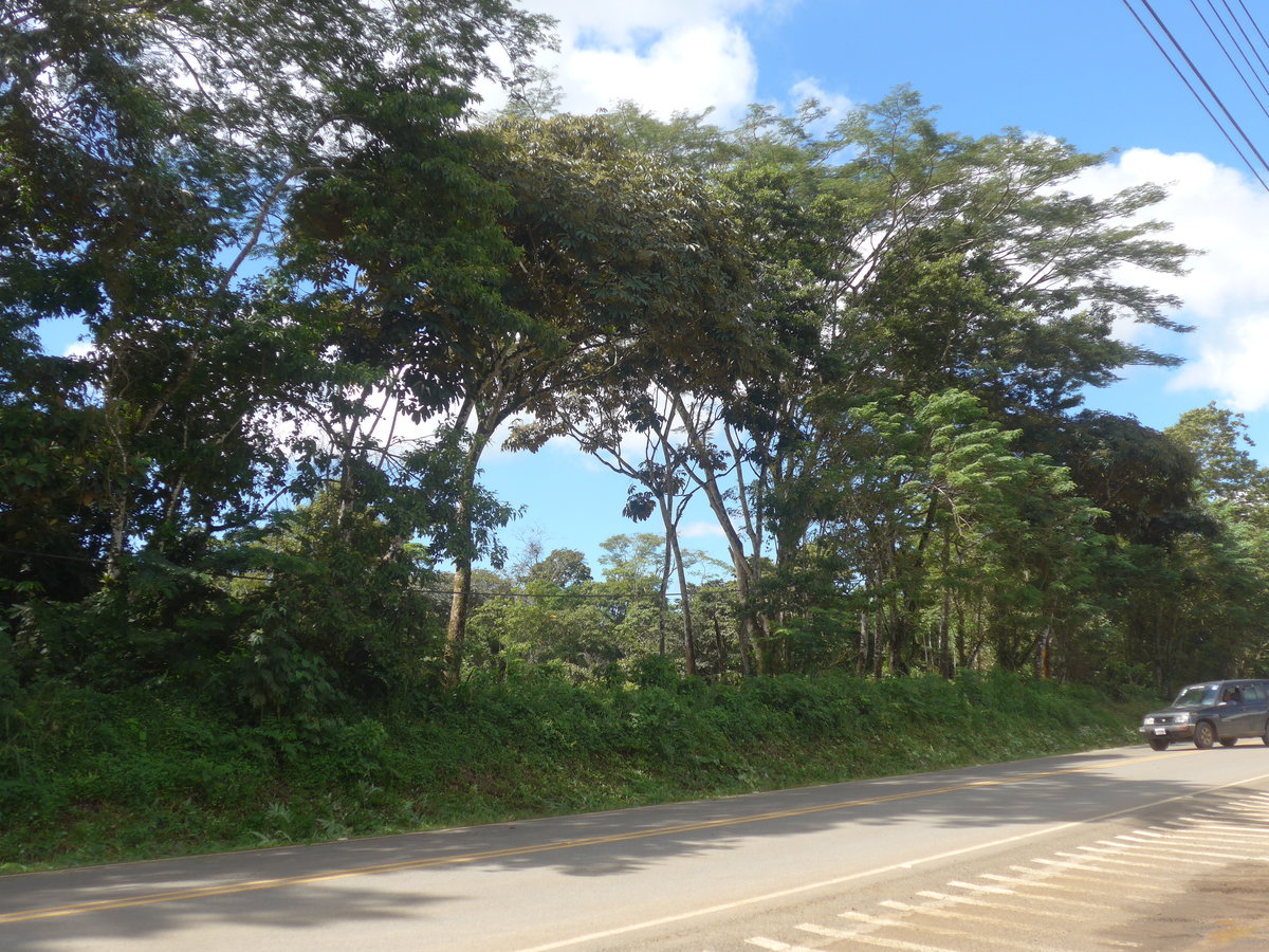 (212'201) - Strasse am 23. November 2019 bei Santa Cecilia