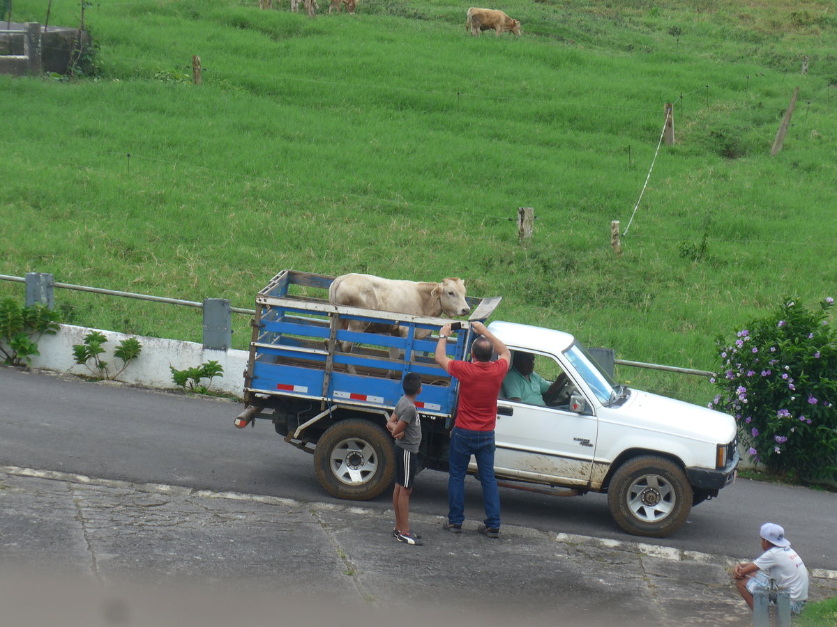 (212'304) - K�lbertransport mit Mitsubishi - CL 117'879 - am 24. November 2019 in Nuevo Arenal, Los H�roes