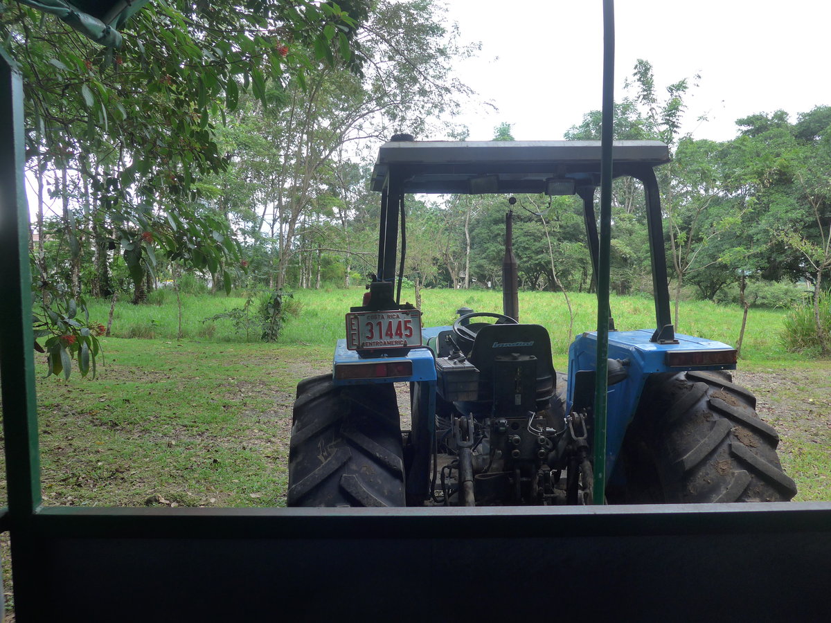 (212'339) - Landini - EE 31'445 - am 24. November 2019 in La Fortuna, Pineapple Farm