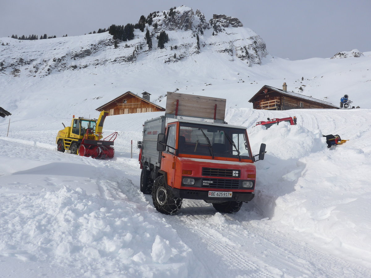 (213'160) - Reform-Muli - BE 625'917 - am 26. Dezember 2019 auf der Bussalp
