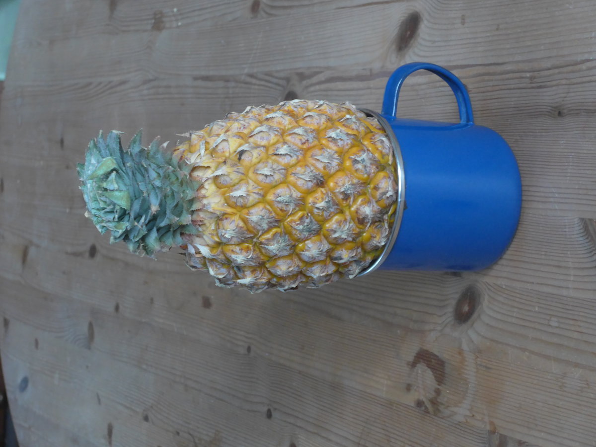 (214'413) - Frische Ananas aus Thailand am 18. Februar 2020 in Thun