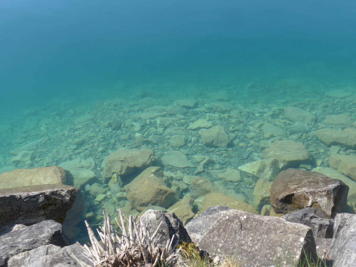 (215'948) - Klares Wasser im Thunersee am 8. April 2020 bei der Beatenbucht