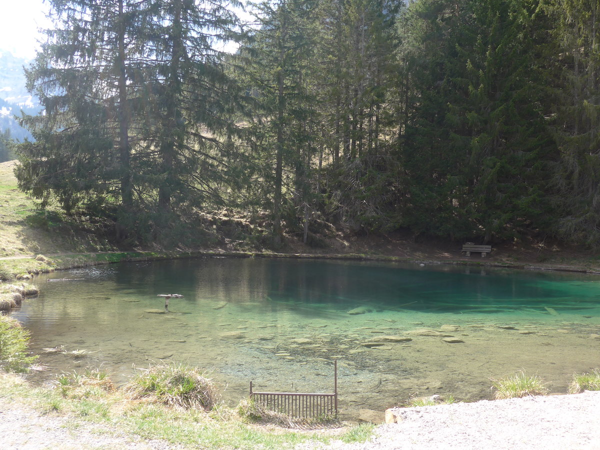 (216'178) - Das Blauseeli am 17. April 2020 auf der Grimmialp