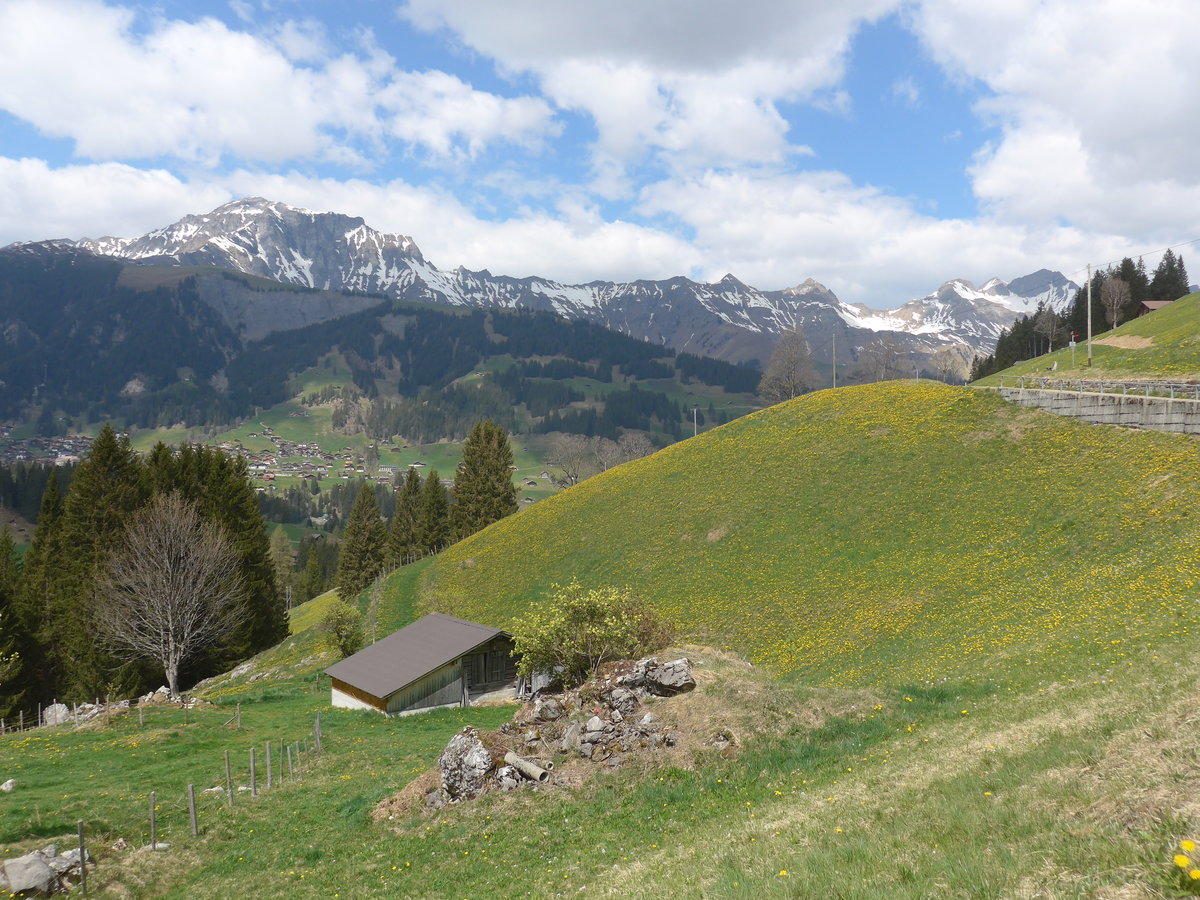 (216'421) - Adelboden mit Niesenkette am 24. April 2020 vom Hirzbodenport aus