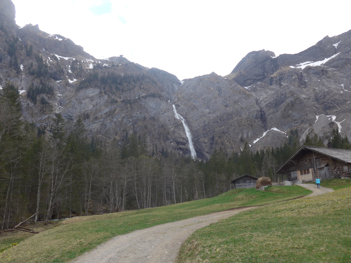 (216'428) - Die Engstligenf�lle am 24. April 2020 bei Adelboden