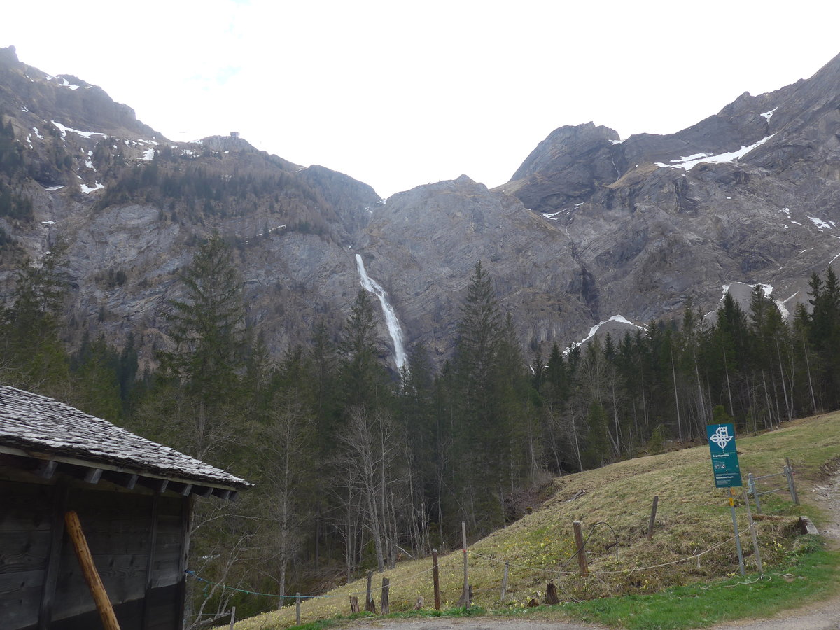 (216'429) - Die Engstligenf�lle am 24. April 2020 bei Adelboden