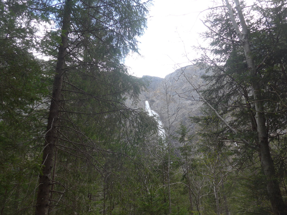 (216'430) - Die Engstligenf�lle am 24. April 2020 bei Adelboden