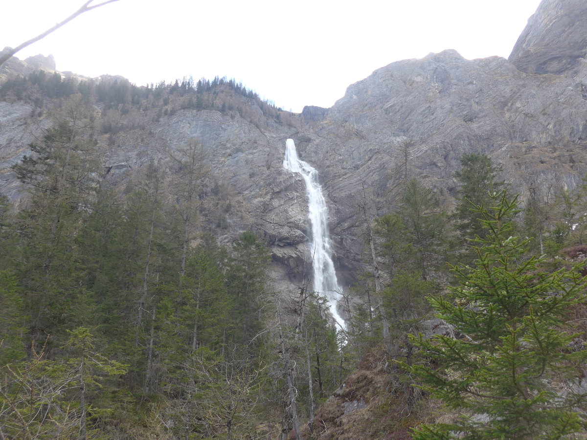 (216'432) - Die Engstligenf�lle am 24. April 2020 bei Adelboden