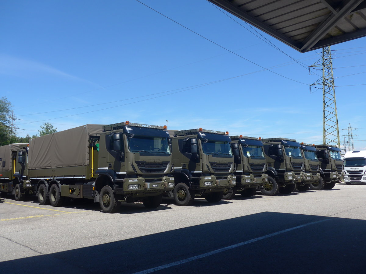 (218'848) - Schweizer Armee - M+52'757 - Iveco am 19. Juli 2020 in Hendschiken, Iveco