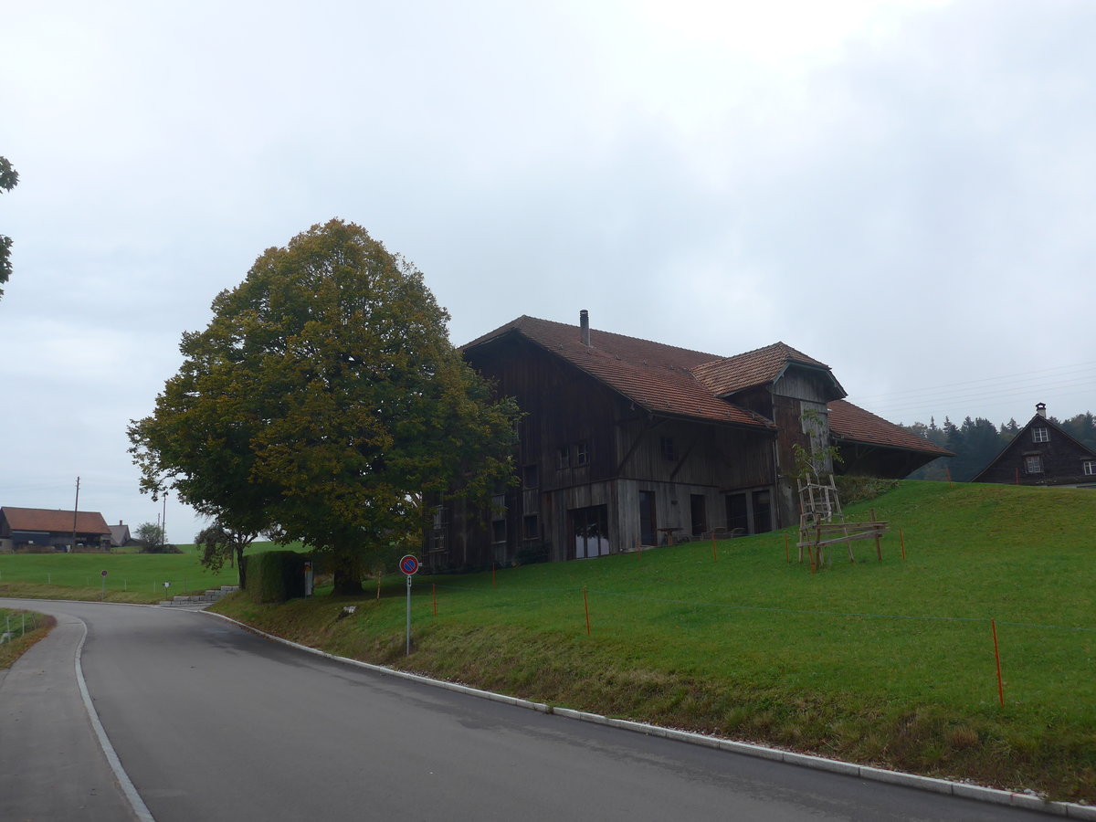 (221'846) - Haus mit Baum am 12. Oktober 2020 in Gh�ch